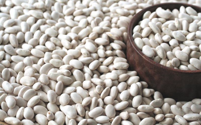 لوبیا سفید ایرانی؛ درمان پوکی استخوان حاوی کلسیم iron