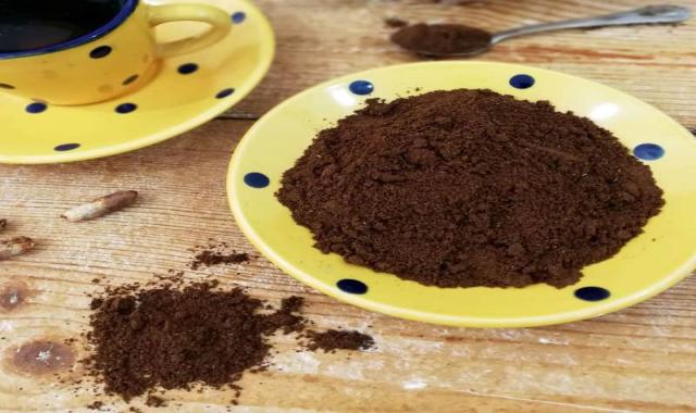 هسته خرما خشک؛ درمان ام اس تقویت پوست آنتی اکسیدان Vitamin E