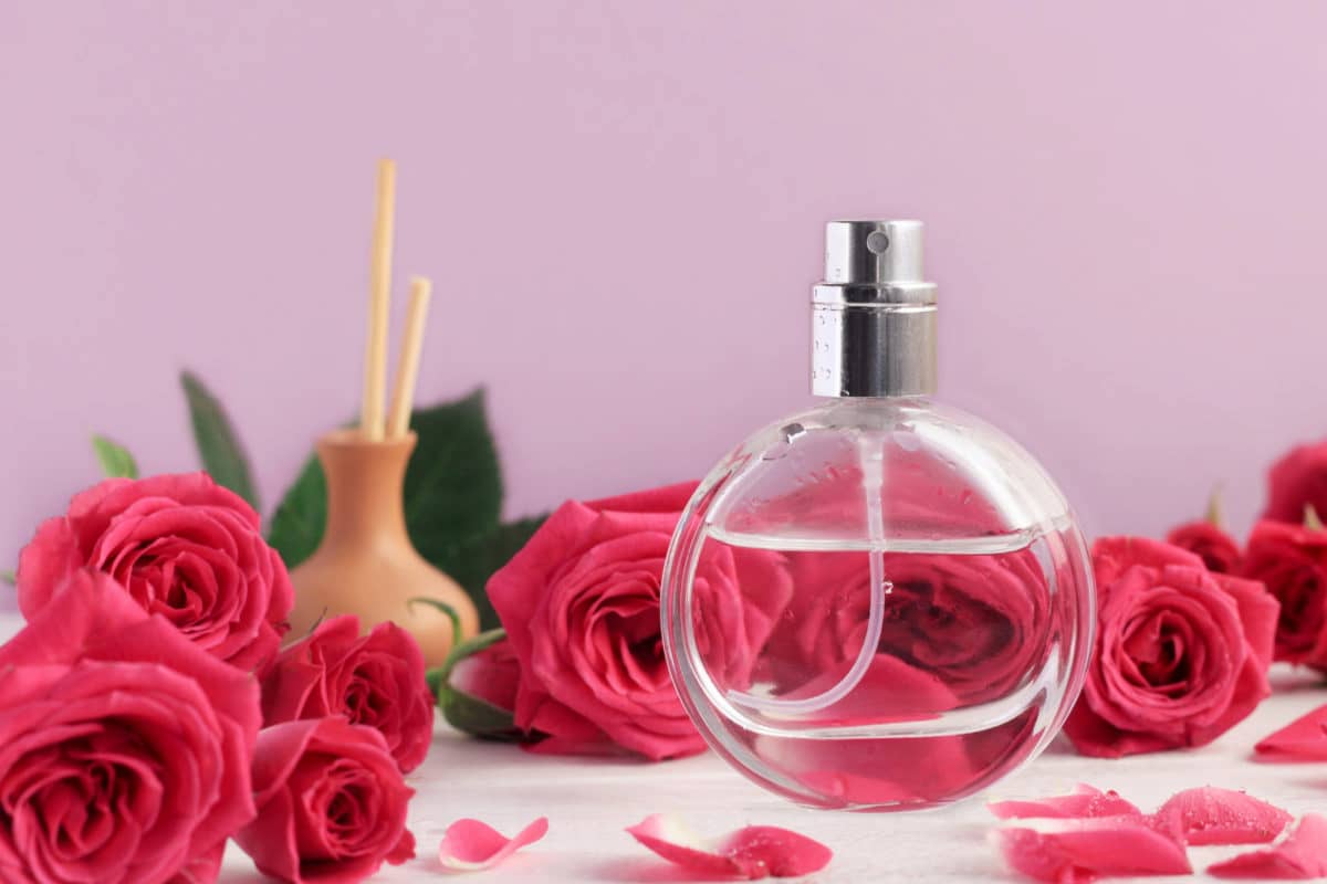 گلاب برای خشکی پوست؛ مایع گرم رفع جوش زیبایی پوست روغن گل rose