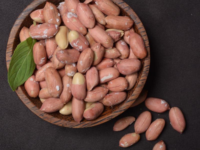 بادام زمینی برای قاعدگی (پسته شامی) خام با پوست 2 مدل اسپانیایی رونده