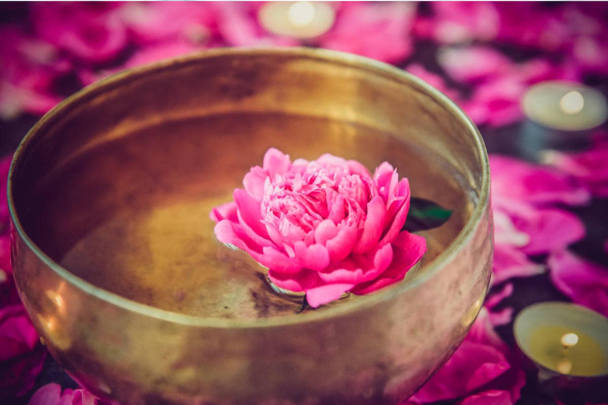 گلاب ضد تهوع؛ طبع گرم رنگ شفاف بدون رسوب تهیه کیک دسرو شربت 900 گرمی