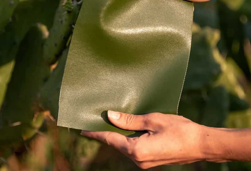 چرم کاکتوس اصفهان؛ مات براق سبز تولید کیف لباس Waterproof