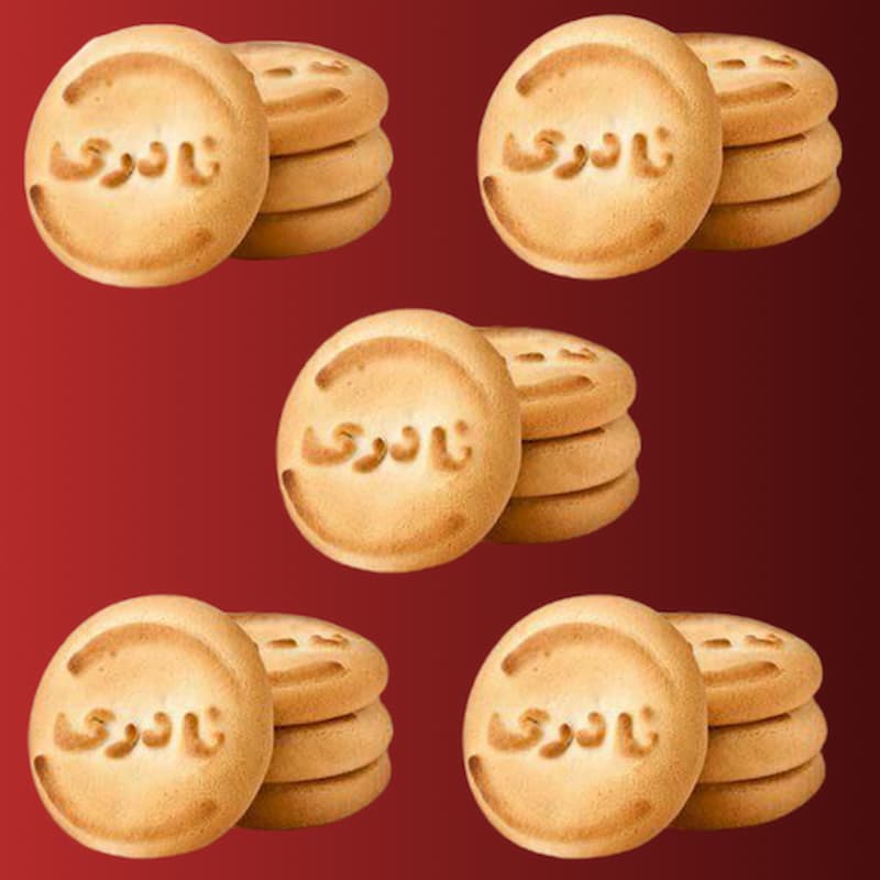 کلوچه نادری پیج (کوکی) مغزدار بسته بندی کارتنی حاوی روی Antioxidants