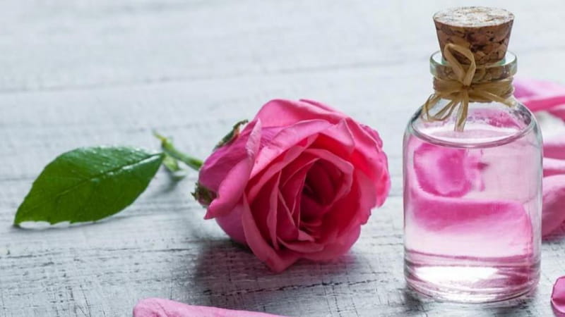 گلاب یبوست؛ ملین آرام بخش 3 نوع (معمولی دو سه آتیشه) شفاف