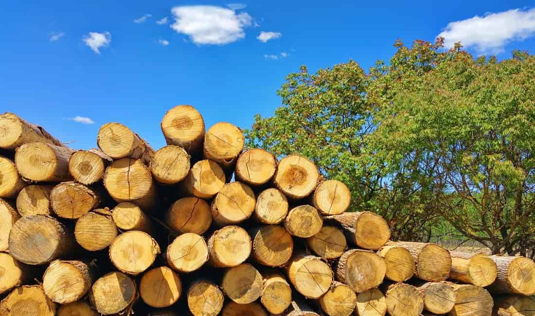 چوب درخت گلابی؛ پرورشی مبلمان قالب سازی مهرسازی Gray