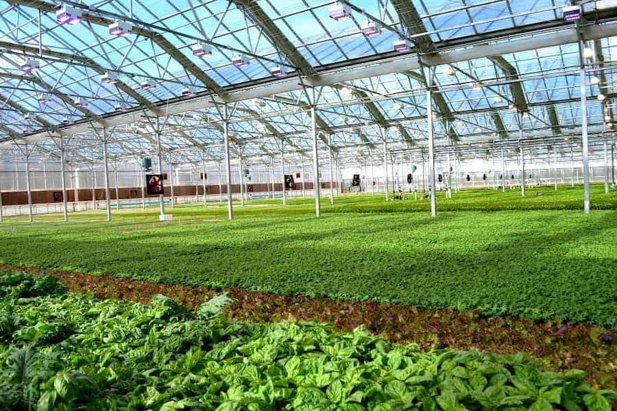 تجهیزات آبیاری گلخانه؛ سنتی پیشرفته (قطره ای بارانی) مقاومت بالا برق مصرفی 0/75 کیلوبات Irrigation equipment