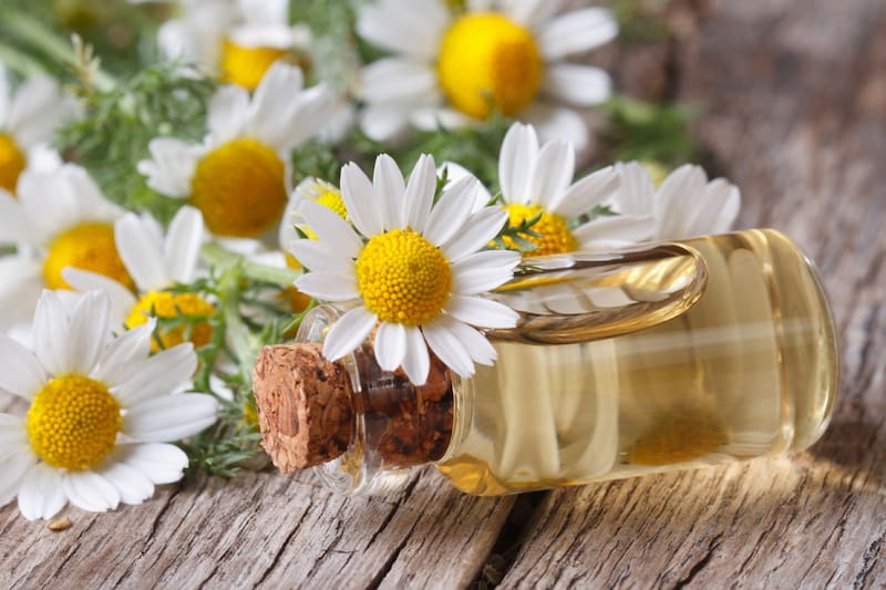 روغن بابونه اصل؛ مایع موضعی ترمیم زخم جوش (18 60) میلی لیتری