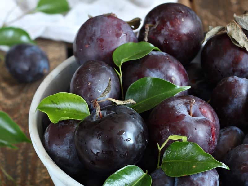 آلو سیاه امروز؛ قرمز بنفش 2 طبع سرد تر فیبر منیزیم Phosphorus