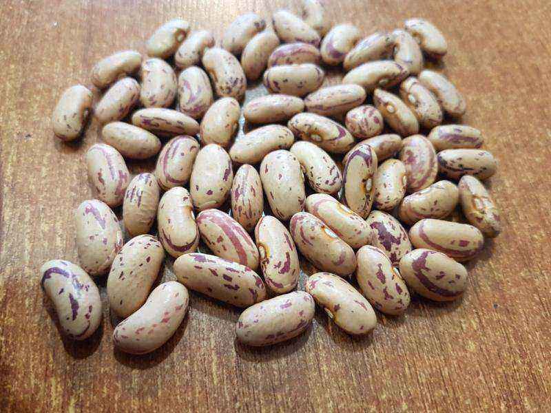 لوبیا چشم بلبلی محلی؛ رنگ کرم فسفر پتاسیم بسته بندی کیلویی cowpeas