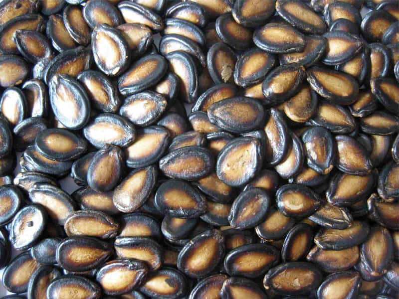 تخمه هندوانه ضد سرطان؛ تنقلات 2 طبع سرد تر زینک روی Potassium