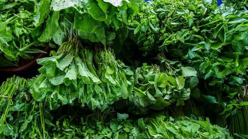 سبزیجات تازه امروز؛ ضد سرطان پستان آنتی اکسیدان 5 وعده رژیم DASH