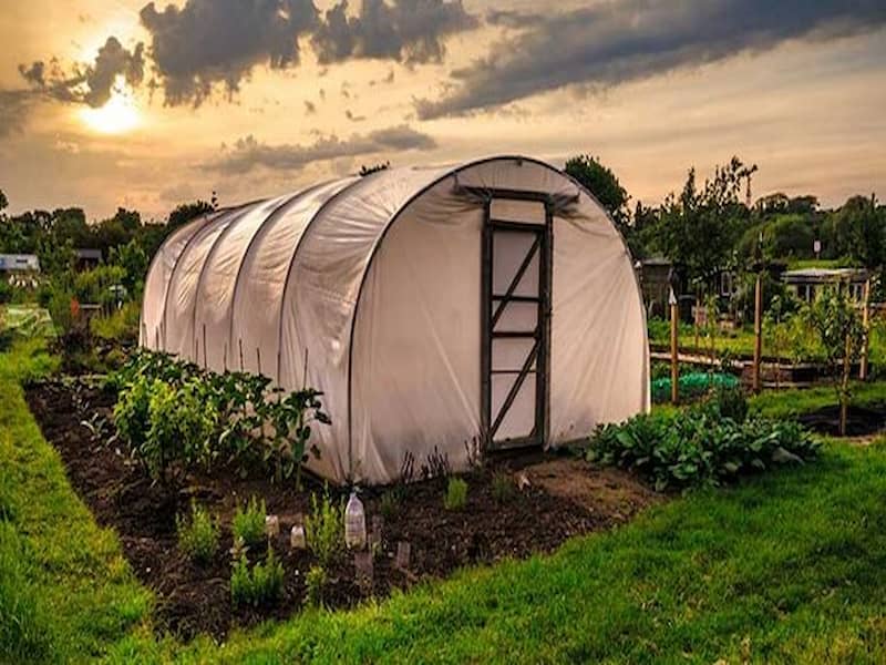 نایلون گلخانه در اصفهان؛ پلاستیکی کنترل دما دارای ضخامت 200 میکرون Isfahan