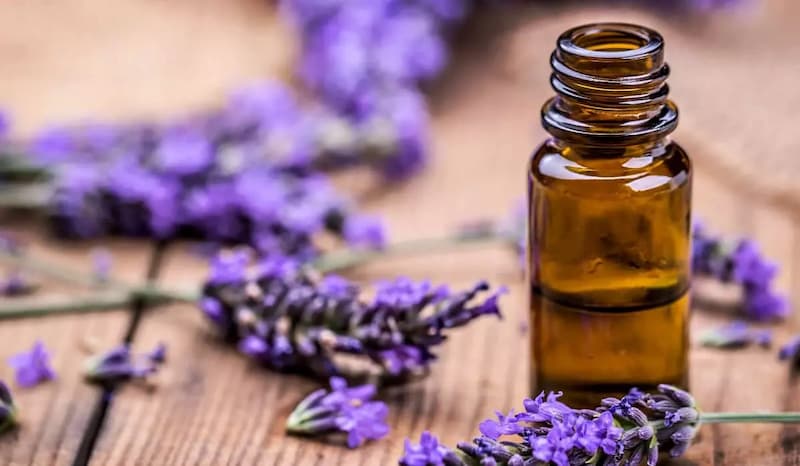 روغن های گیاهی ضد ریزش مو؛ رزماری نارگیل بادام تقویت مو حاوی Vitamin E