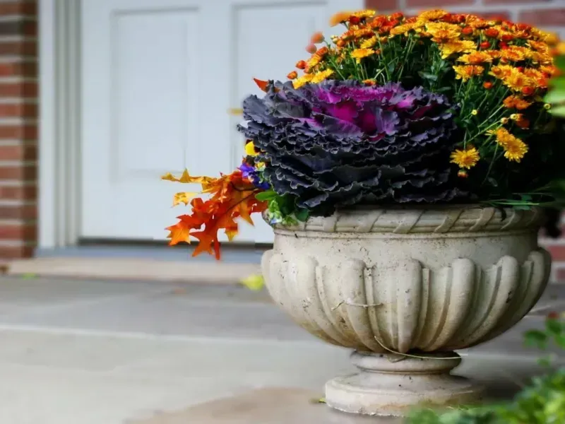 گلدان سفالی رنگی گرد؛ لعابدار حیاط استحکام رنگ ثابت balcony