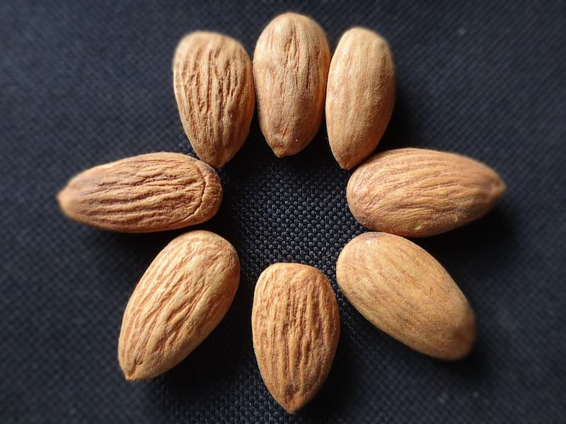 بادام برای بدنسازی؛ کلسیم آنتی اکسیدان 2 نوع پوست سنگی کاغذی