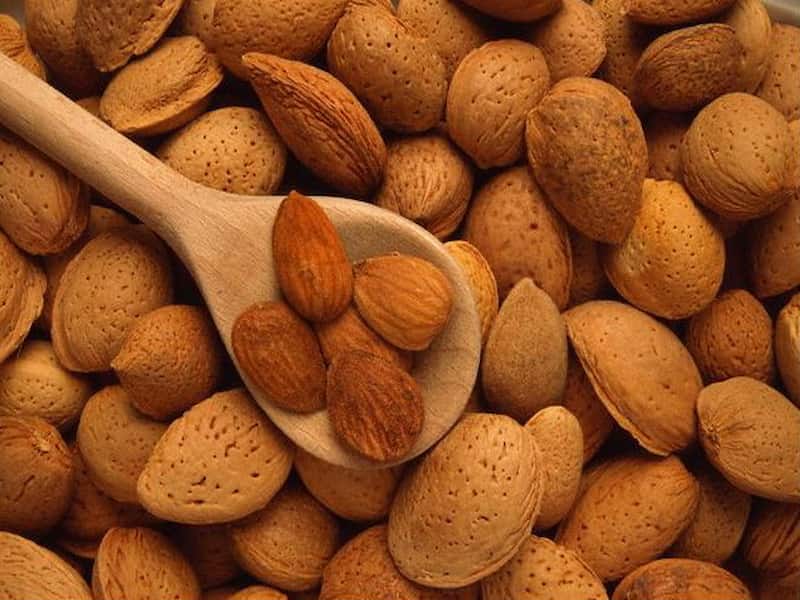 بادام برای صفراوی ها؛ تنظیم دمای بدن منیزیم ویتامین E طبع گرم