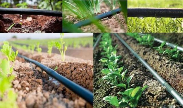 نوار آبیاری قطره ای هیدرو دریپ؛ پلی اتیلنی مناسب زمین های کشاورزی Black
