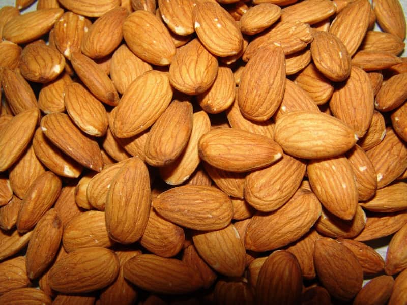 بادام درختی برای معده؛ سنگی پوست کاغذی 2 خاصیت کنترل قند فشار خون