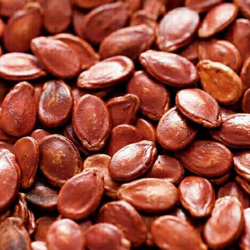 تخمه ژاپنی در شیردهی؛ شور آبلیمویی گلپردار 2 رنگ سفید قرمز Japan