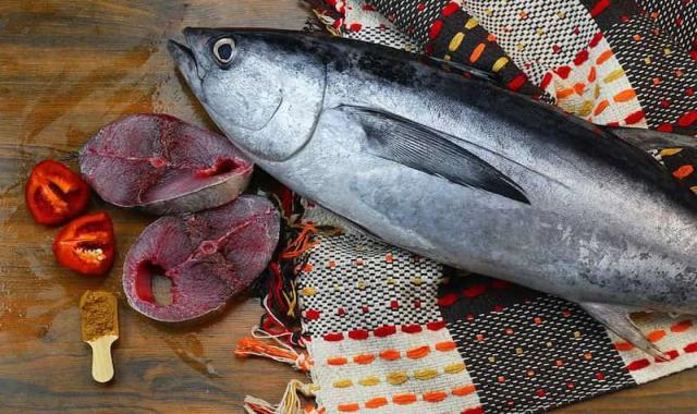 ماهی تن امروز؛ آبی تیره سیاه دو نوع گرد دوکی Vitamin B