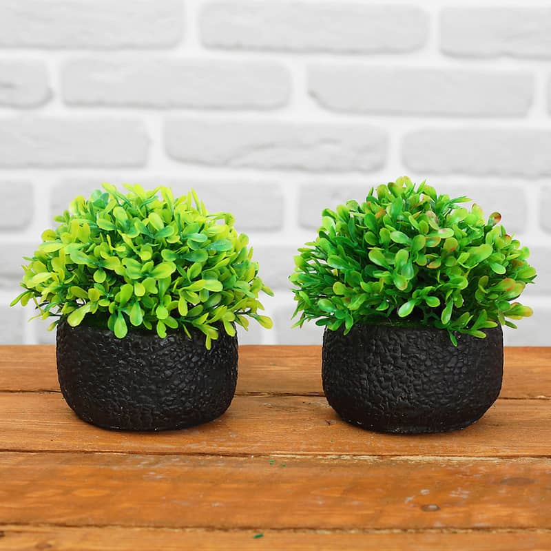 گلدان سنگی؛ مرمریت تراورتن مقاوم مناسب گل مینیاتوری flower pot