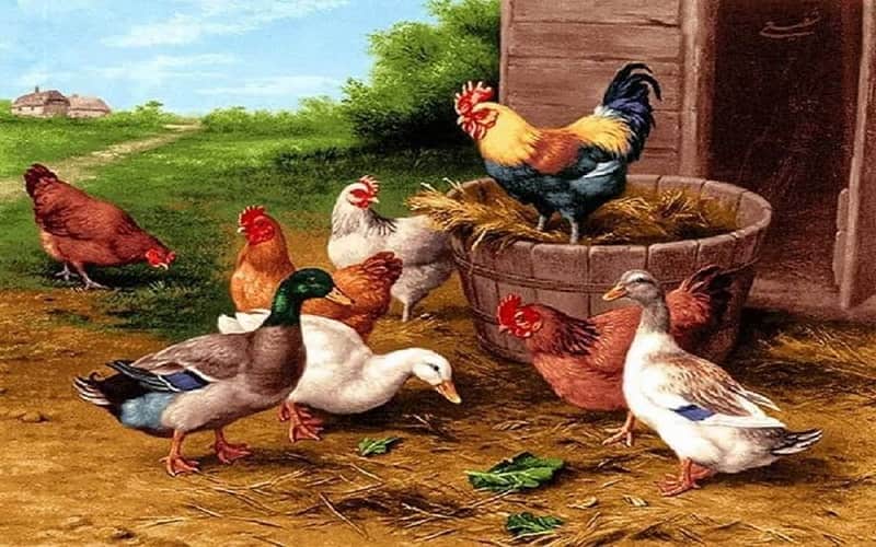 تابلو فرش حیوانات اهلی؛ ماشینی دست بافت ابریشم کرک Iran