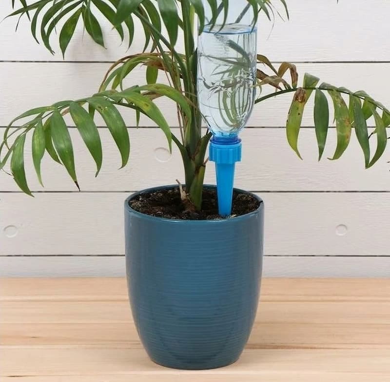 آبخوان آزاد؛ سطح ایستابی تحت فشار کم تراوا سفره زیر زمینی aquifer