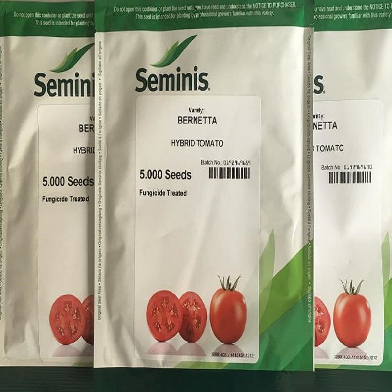 بذر گوجه رقم برنتا؛ مقاوم 3 سایز کوچک متوسط بزرگ مزارع greenhouse