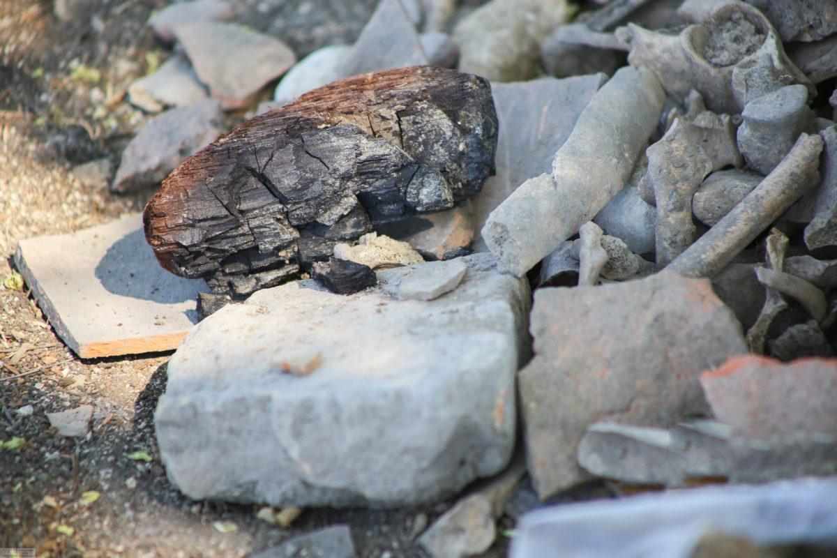 سنگ آهن گهر زمین tsetmc؛ خام 5 نوع مگنتیت لیمونیت گوتیت سیدریت هماتیت