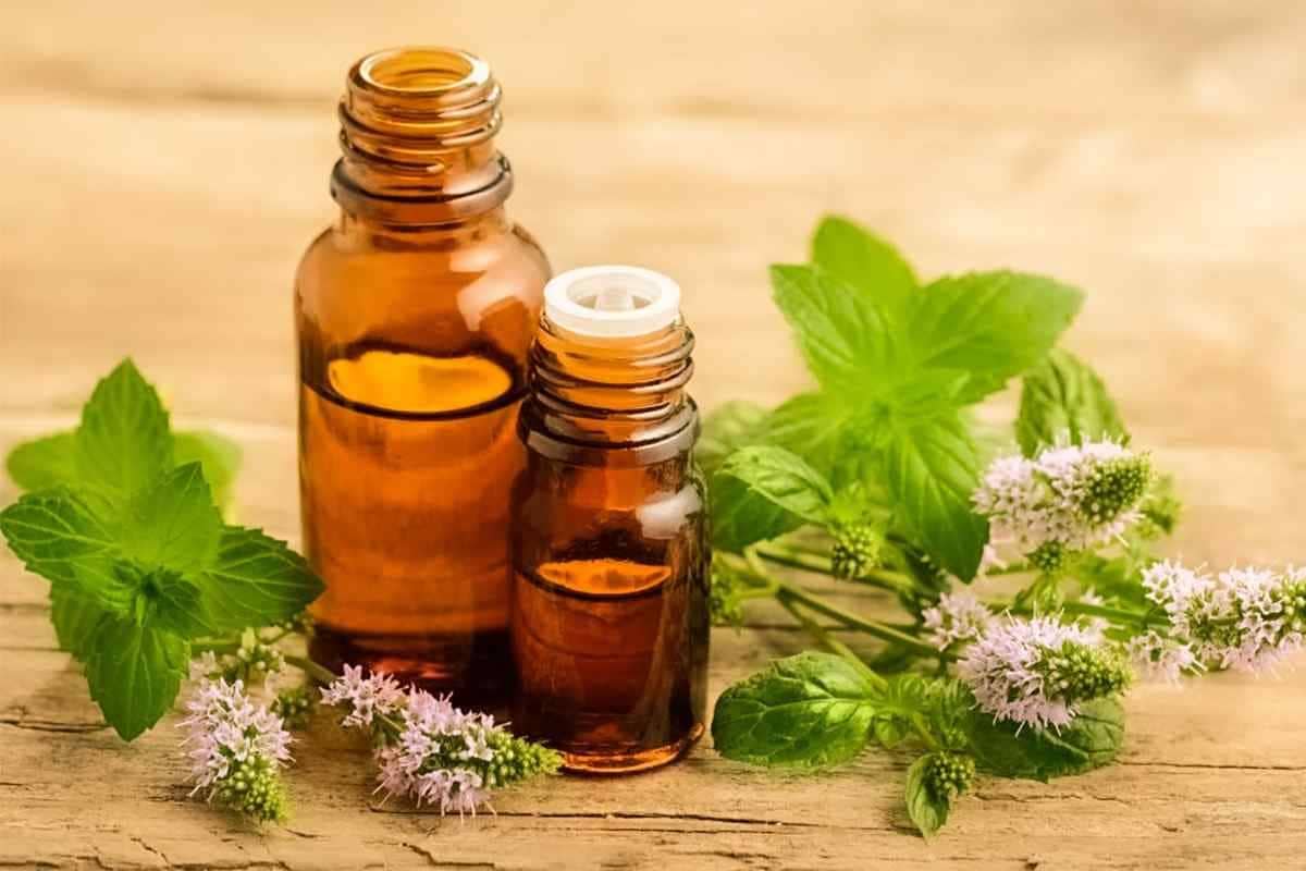 روغن گیاهی برای رشد سریع مو؛ تغذیه فولیکول تقویت پوست سر حاوی مواد آلی Protein