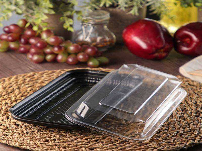 ظروف یکبار مصرف یزد عمده؛ مقاوم گرما سرما 3 نوع دایره ای مربعی مستطیلی