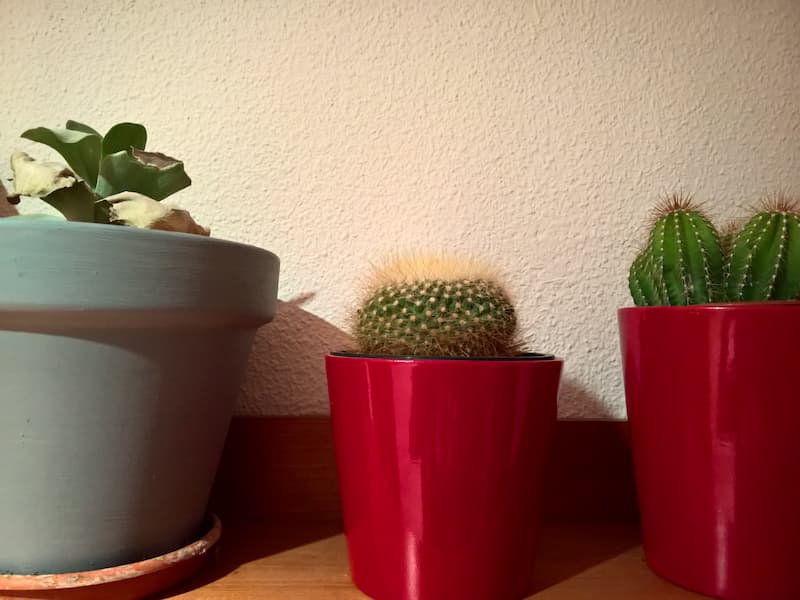 گلدان فلزی گالوانیزه؛ جابجایی اسان بدون زهکشی مقاومت بالا برابر humidity