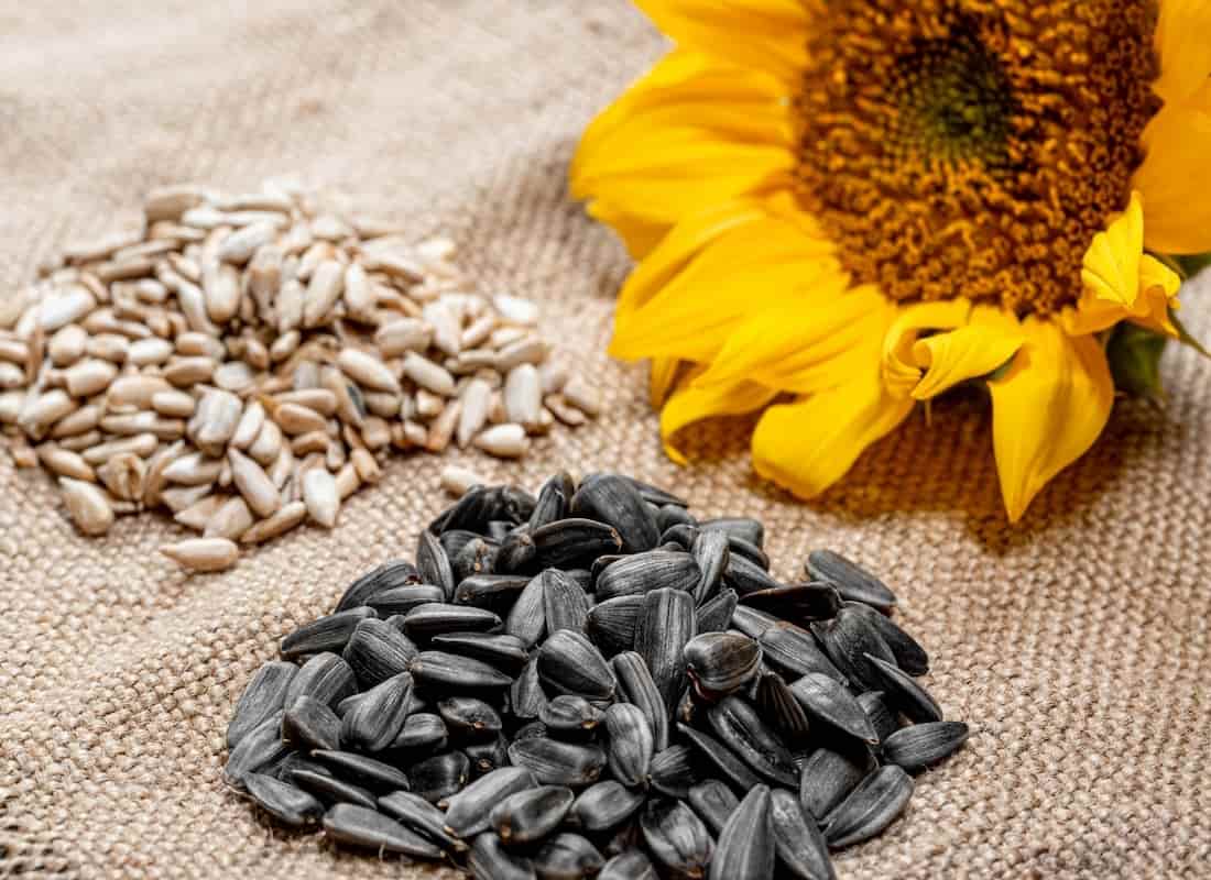 تخمه آفتابگردان ریز؛ بسته بندی فله ای 4 طعم گلپری نمکی کچاپی سرکه