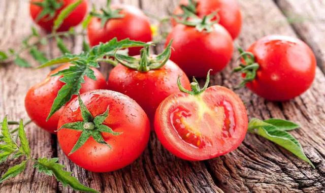 گوجه فرنگی شهریور 1400؛ زیتونی گلخانه ای (کیلویی بسته ای) ارگانیک