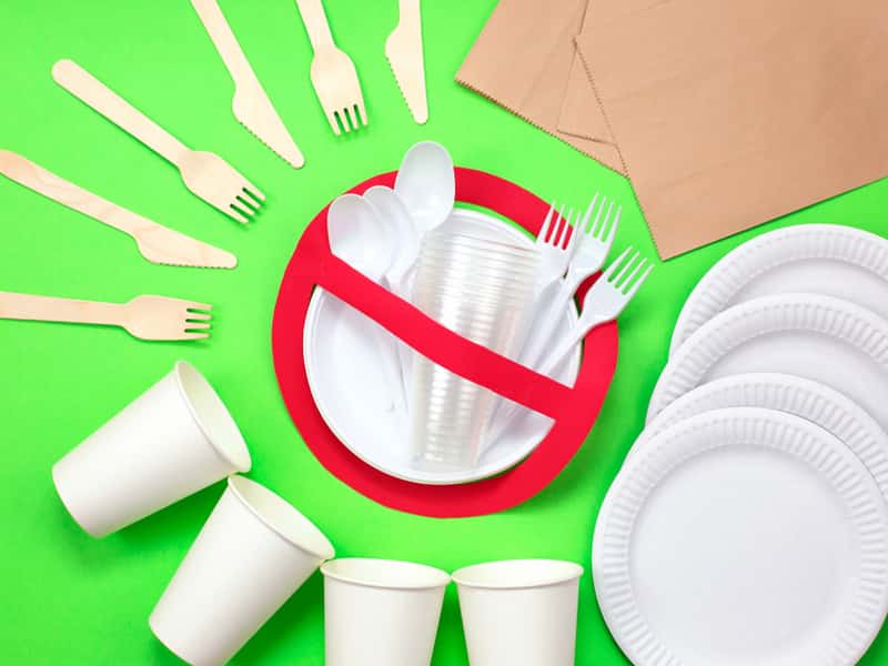 ظروف یکبار مصرف کاغذی در تبریز؛ کیفیت ممتاز 2 نوع کوچک بزرگ Tabriz