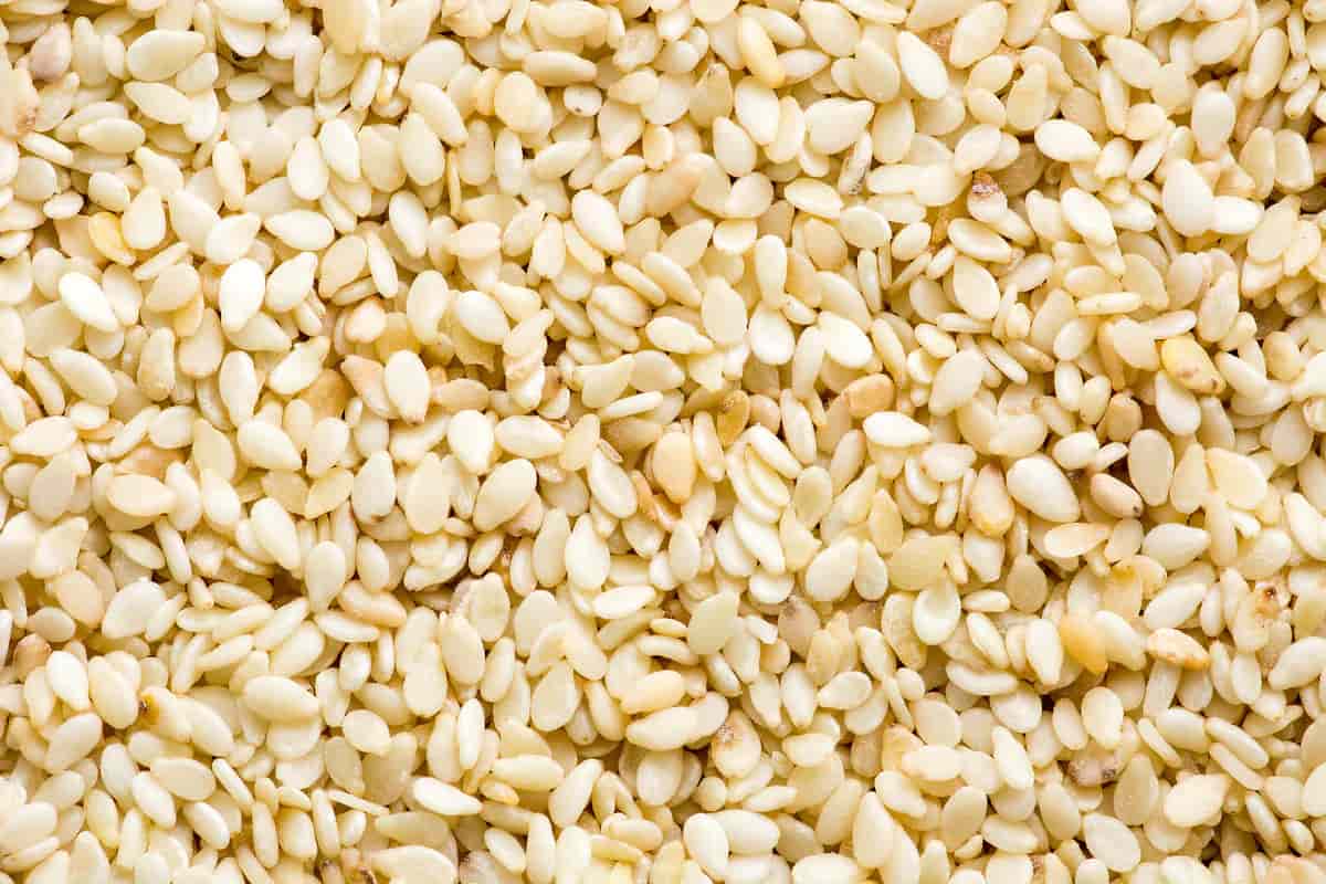 کنجد اصفهان؛ سفید کیک پزی هند آفریقا Calcium