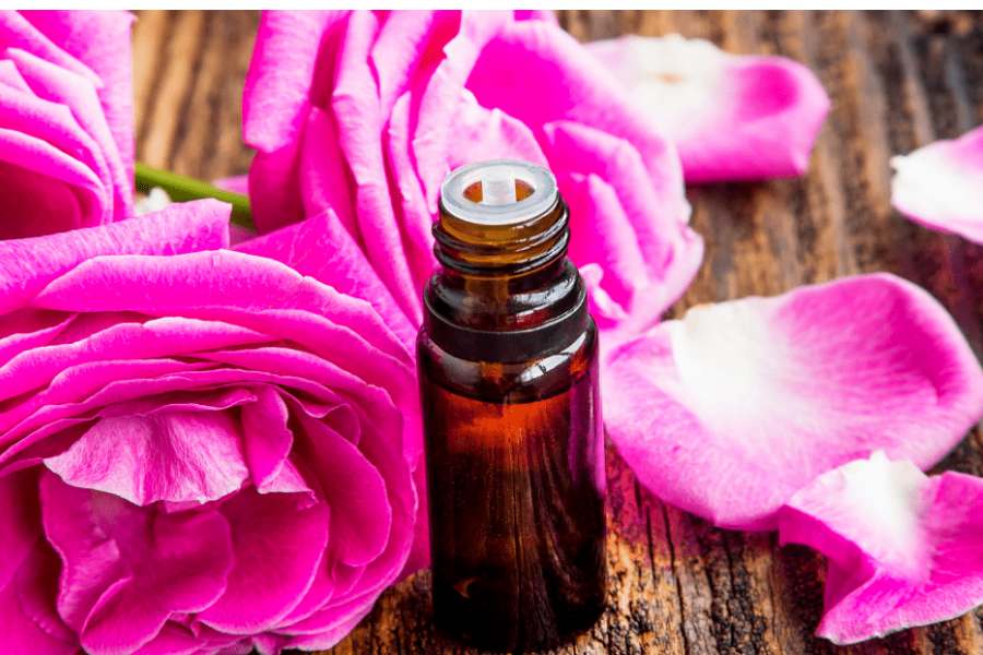 گل محمدی برای پریودی؛ دمنوش گلاب آرام بخش (صورتی قرمز) Flower