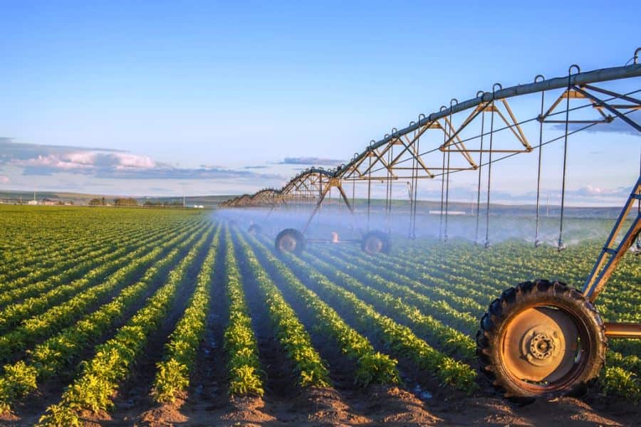 کود فروت ست برای انگور؛ محلول پاشی افزایش جوانه شاخه 3 عنصر (ازت بور روی)