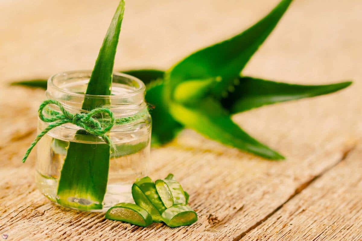 الوئه ورا در عطاری (گیاه صبر زرد) ژل آبرسان حاوی کلسیم منیزیم molybdenum