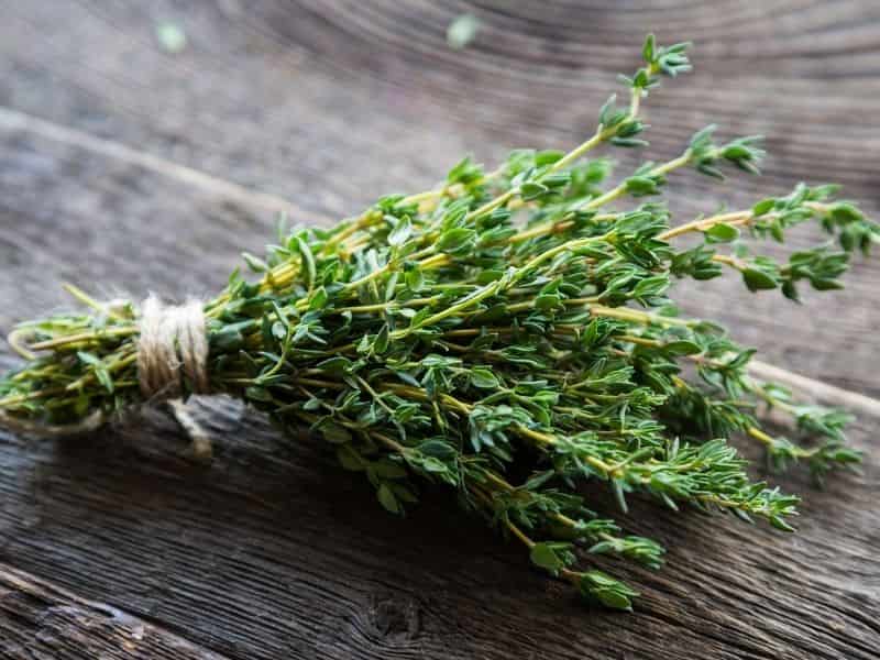 بذر آویشن کوهی؛ فسفر کلسیم پتاسیم ویتامین A