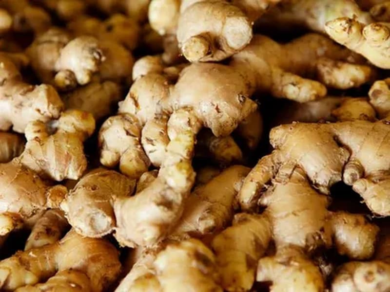 بذر زنجبیل خوراکی؛ پروتئین فیبر منیزیم ویتامین (B6 C)