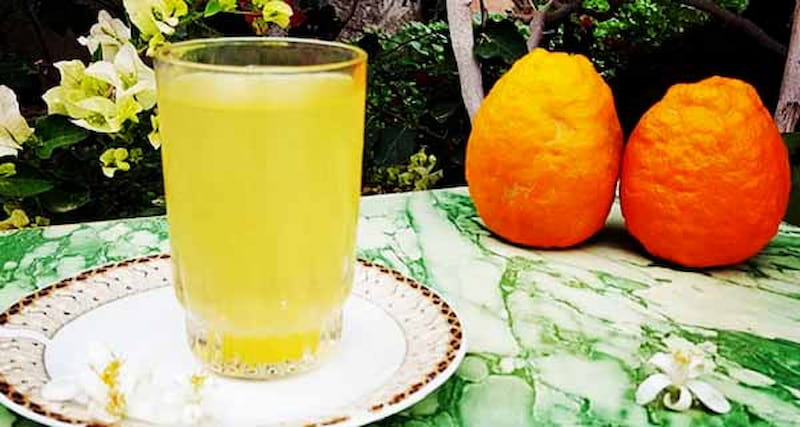 شربت بهار نارنج با عسل؛ خوش طعم ماندگاری بالا Sherbet