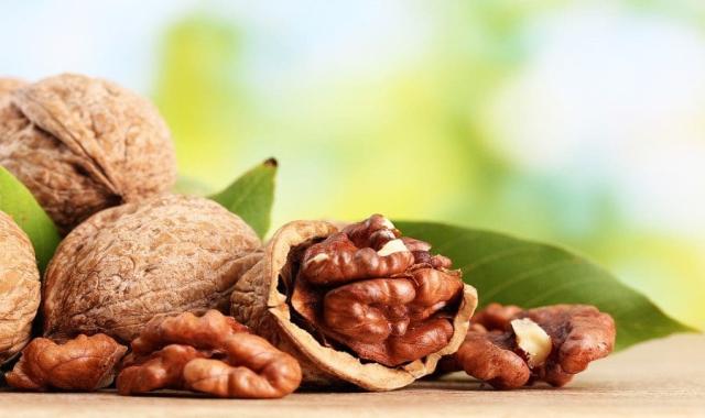 گردو بدون پوست؛ امگا 3 طبع گرم درمان کبد چرب جوانسازی رنگ (روشن سفید)