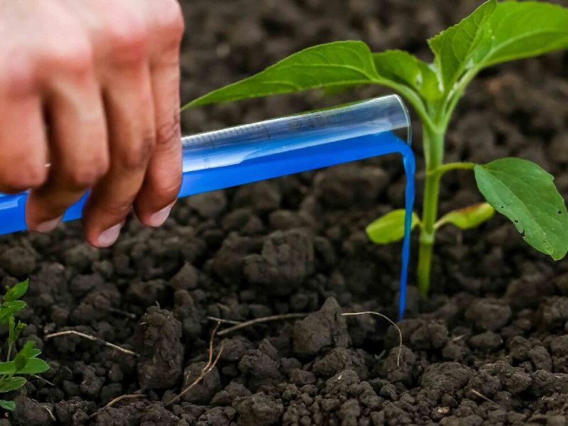 کود ارگانیک گوجه فرنگی؛ کامل آلی کمپوست حاوی پتاسیم Nitrogen