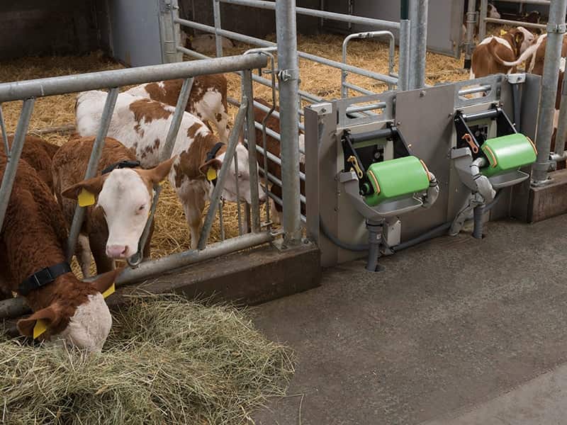 خوراک دام زانیار؛ کیسه چاپ دار پرمیکس گاو گوسفند Xaniar