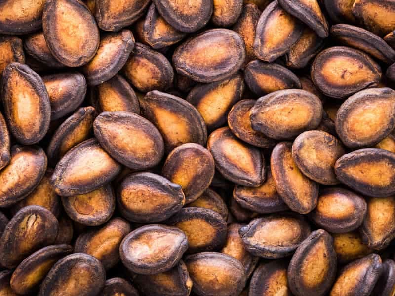 تخمه هندوانه (تخمه ژاپنی) طبع سرد دیابت کاهش وزن watermelon