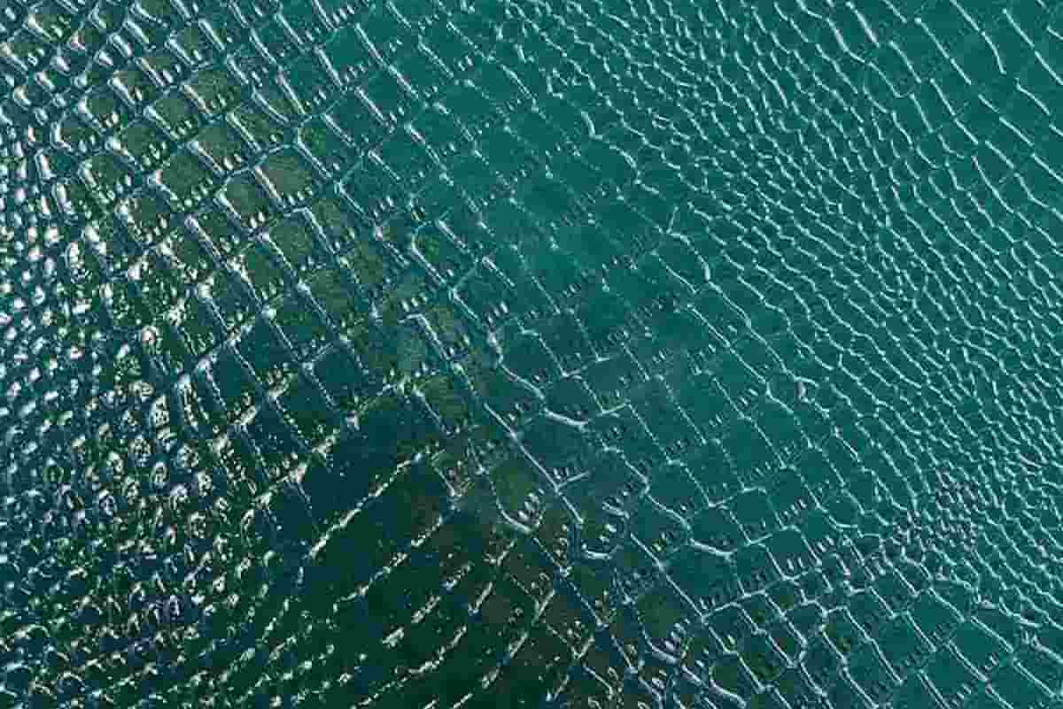 چرم سبز آبی؛ کیف کفش مستحکم منعطف مجلل طبیعی Accessory