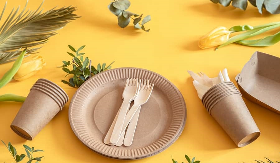 پیش دستی یکبار مصرف؛ پلاستیکی کاغذی 2 مدل گرد مربع