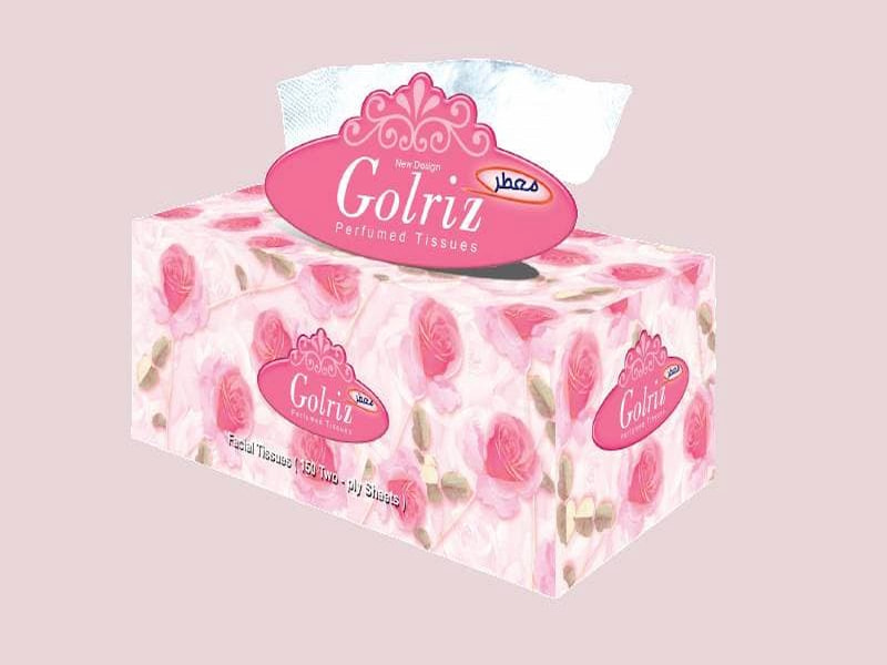 دستمال کاغذی طرح دار گلریز؛ جعبه ای اقتصادی (200 300) برگ توالت جیبی