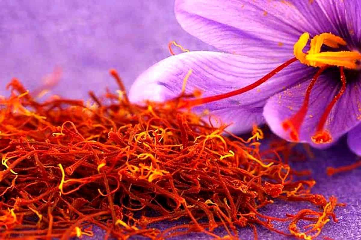 زعفران مصطفوی؛ دسر آرام بخش سلامت ذهن 3 استان یزد اصفهان خراسان